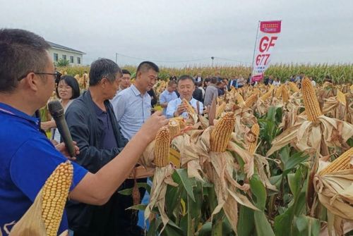 文水高效示范農(nóng)業(yè) 科技種植引領(lǐng)助農(nóng)發(fā)展新篇章