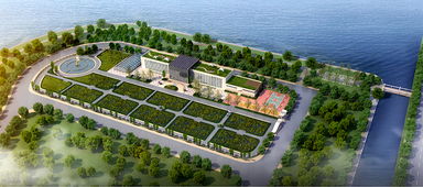 青島海水稻研發(fā)中心揭牌，首代稻種預(yù)計11月問世，技術(shù)開發(fā)引領(lǐng)農(nóng)業(yè)新篇章